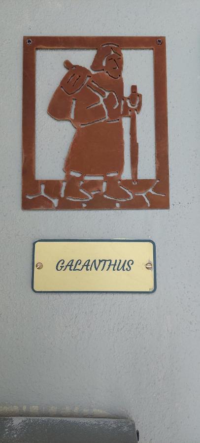 Apartment Galanthus *